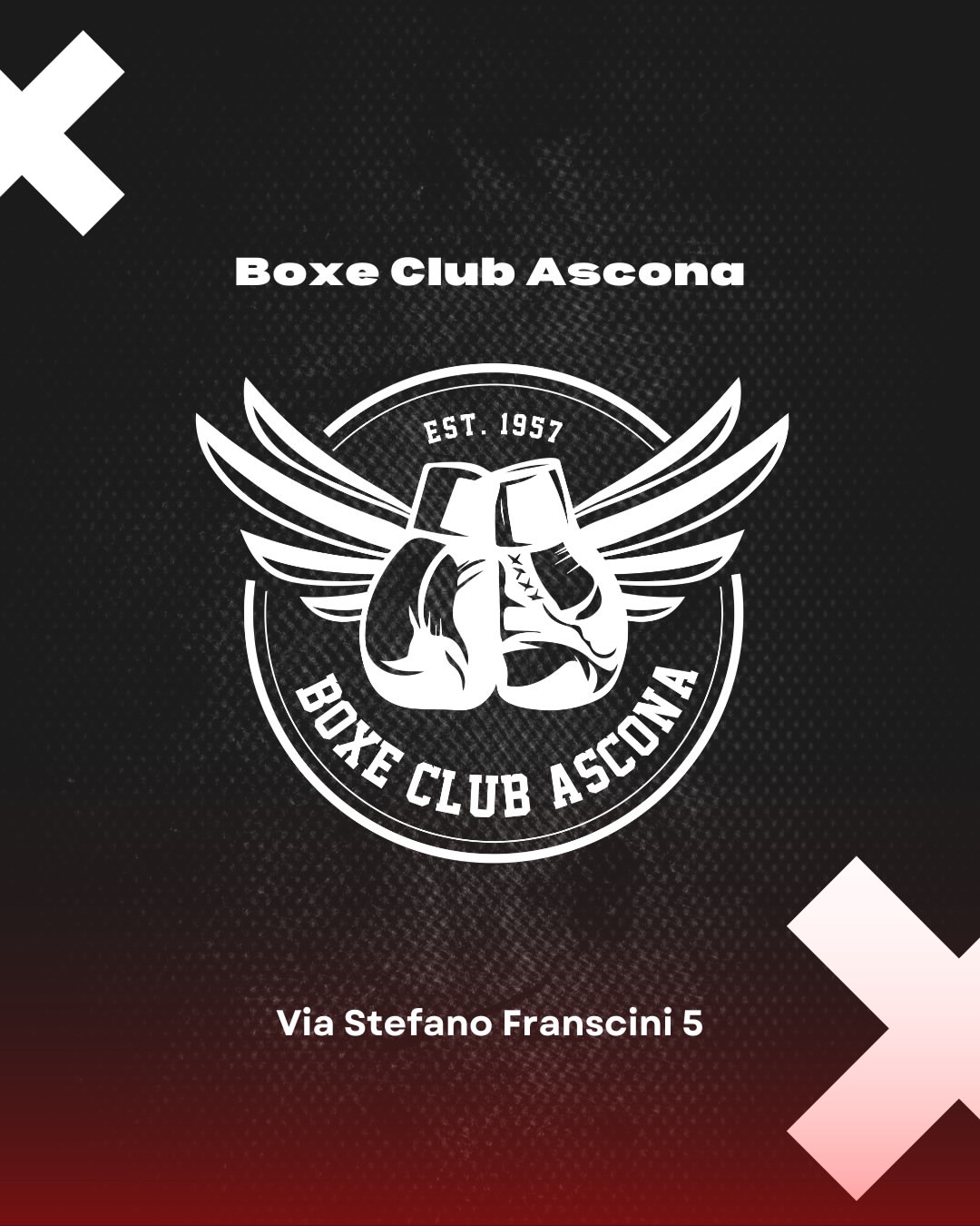 Boxe Night 2026, foto 3