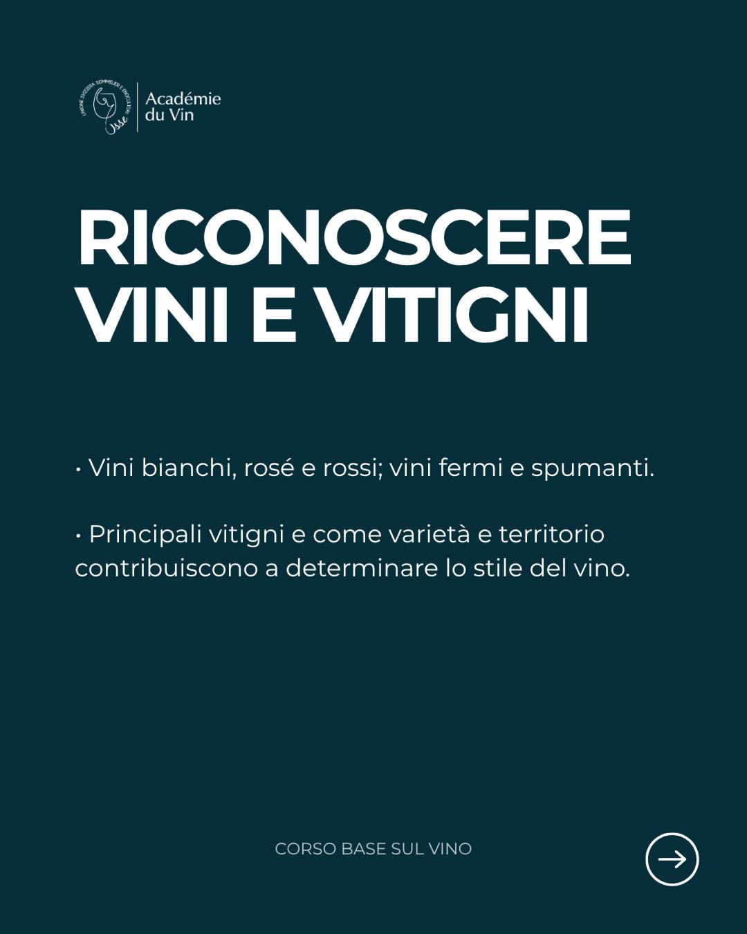 Corso base sul vino — Bellinzona, foto 5