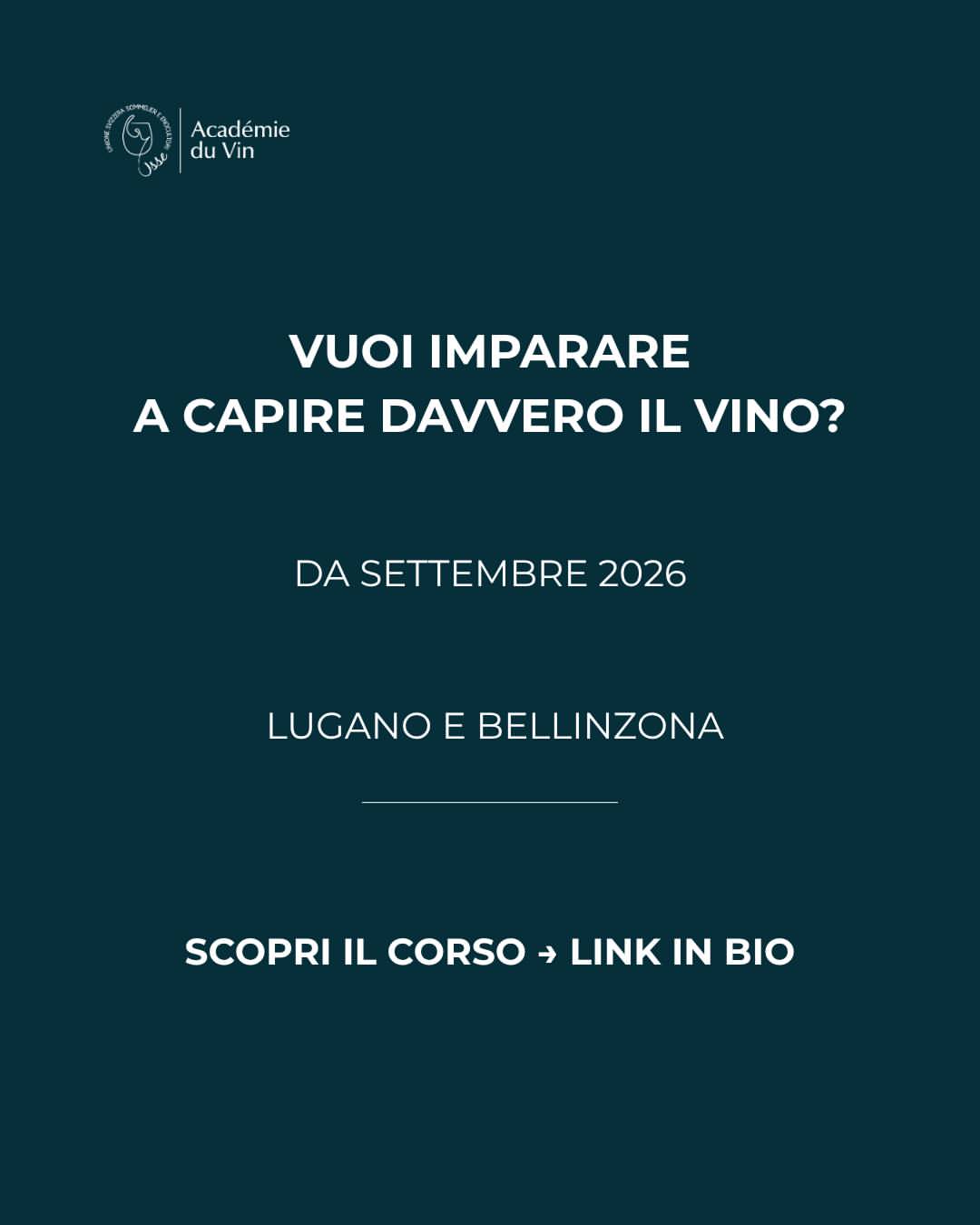 Corso base sul vino — Bellinzona, foto 8