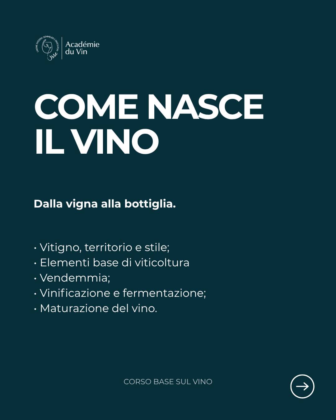 Corso base sul vino — Bellinzona, foto 4