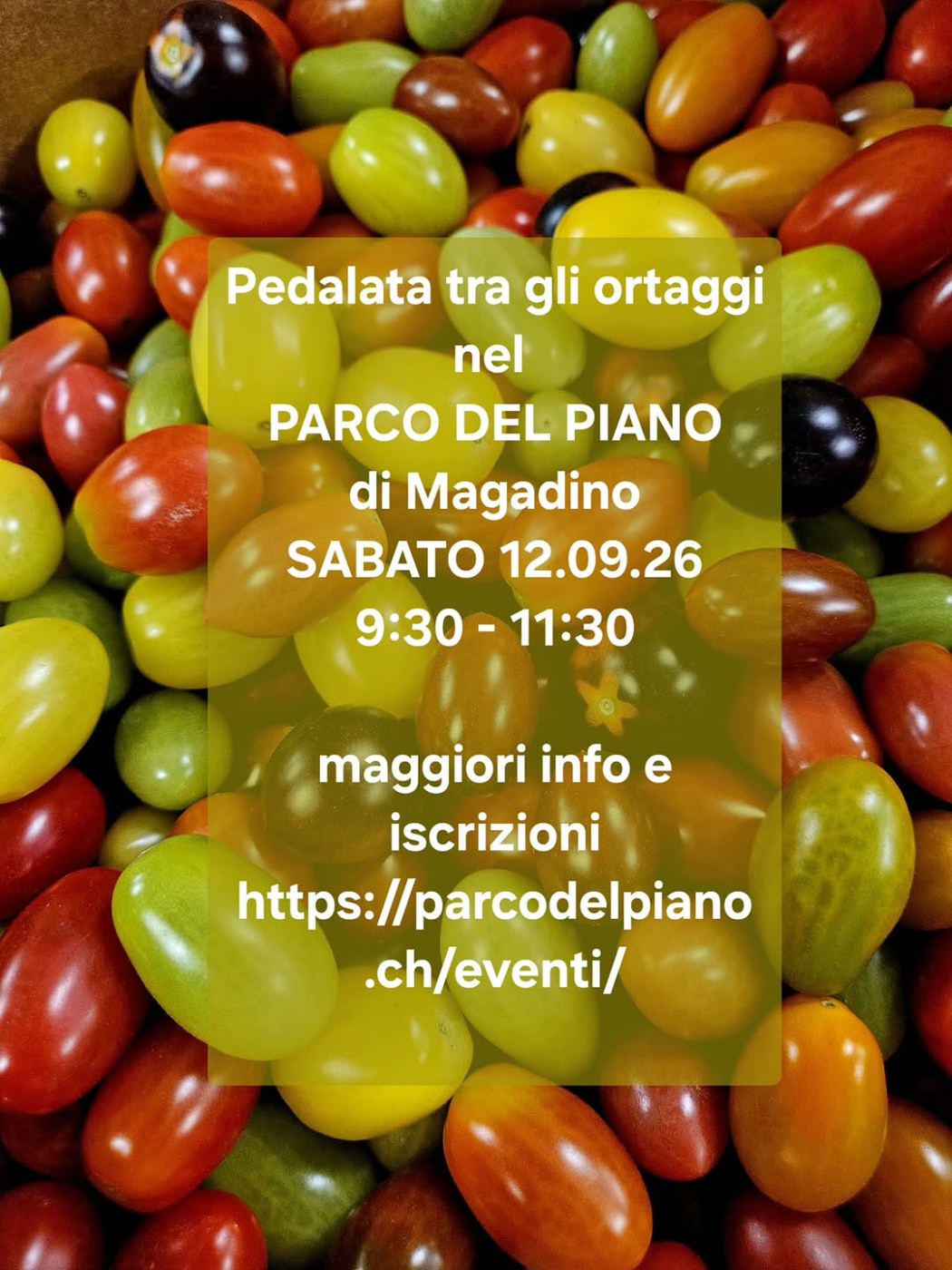 Copertina di Pedalata tra gli ortaggi nel Parco del Piano di Magadino