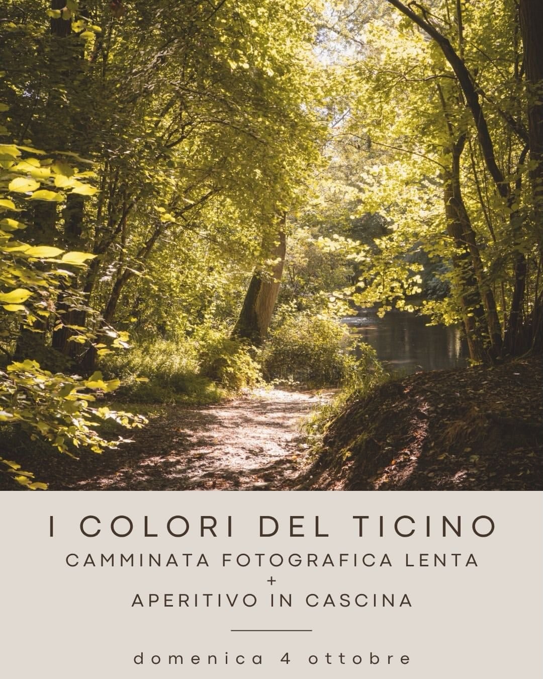 Copertina di I Colori del Ticino: Camminata Fotografica e Aperitivo